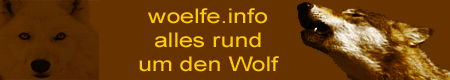 Wölfe Info Banner